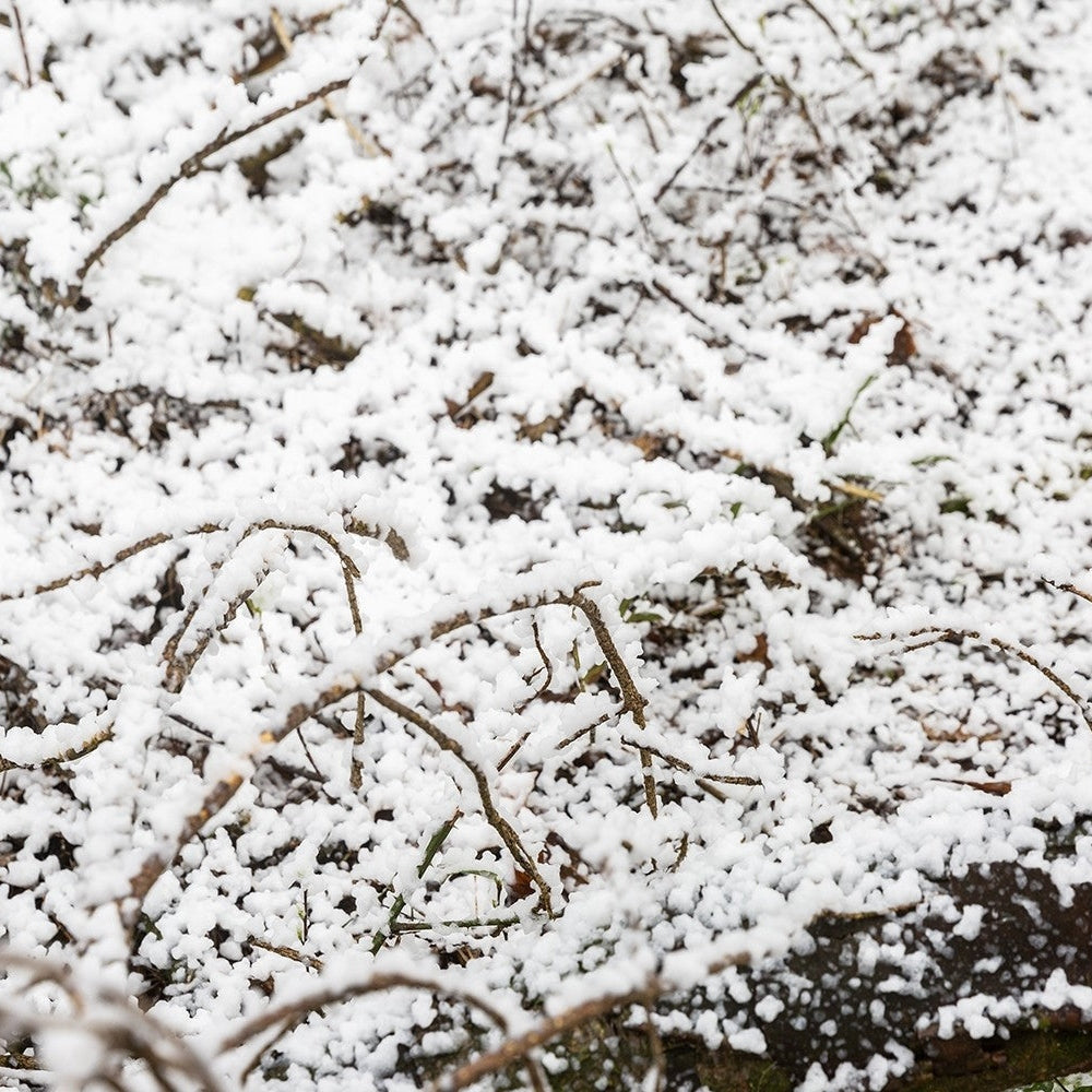 beamZ Pro SNOW 5000 Professionele Hoogvolume Sneeuwmachine met DMX – 20L Tank