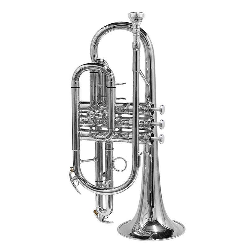 Stewart Ellis SE-1200-S Pro Series cornet geel verzilverd incl. softcase
