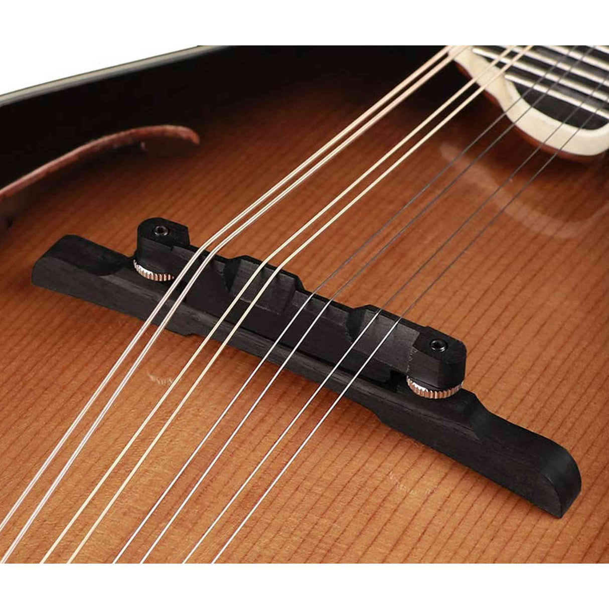 Richwood RMF-100-VS F-Style Mandoline – Massief Sparren & Esdoorn, Vintage Sunburst Hoogglans