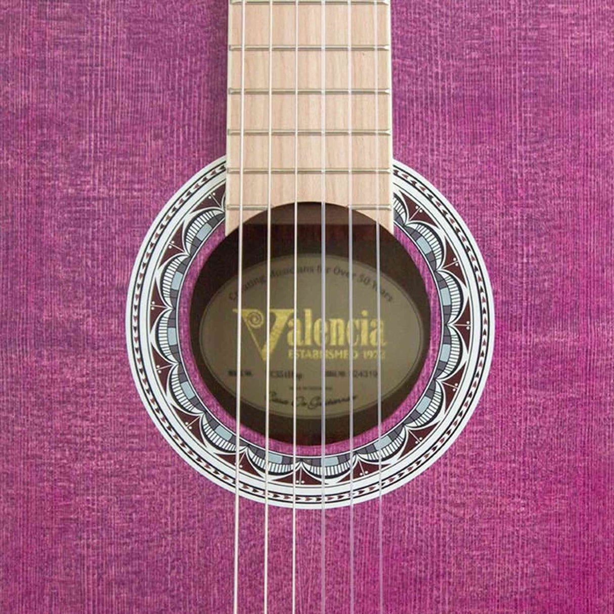 Valencia VC354HPP Klassieke Gitaar 4/4 – Sitka Spar & Mahonie, Paars, Inclusief Tas, Standaard en Stemapparaat