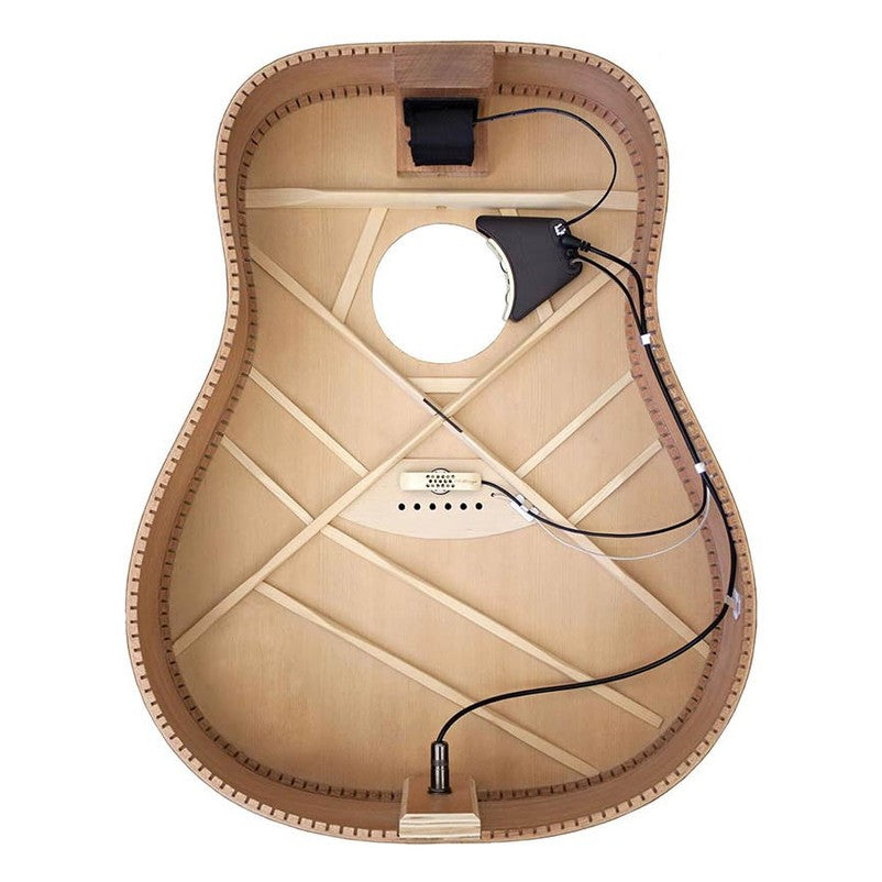 LR Baggs Anthem Actief Microfoonsysteem met Klankgatvoorversterker