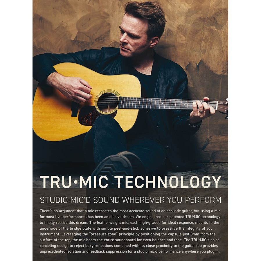 LR Baggs Anthem SL Actief Microfoonsysteem met Eindpin Voorversterker