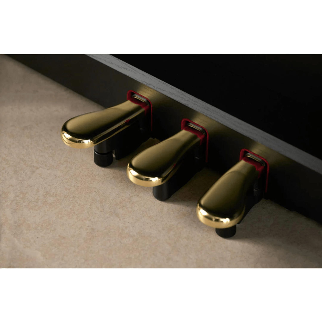 Casio AP-750 Celviano digitale piano zwart