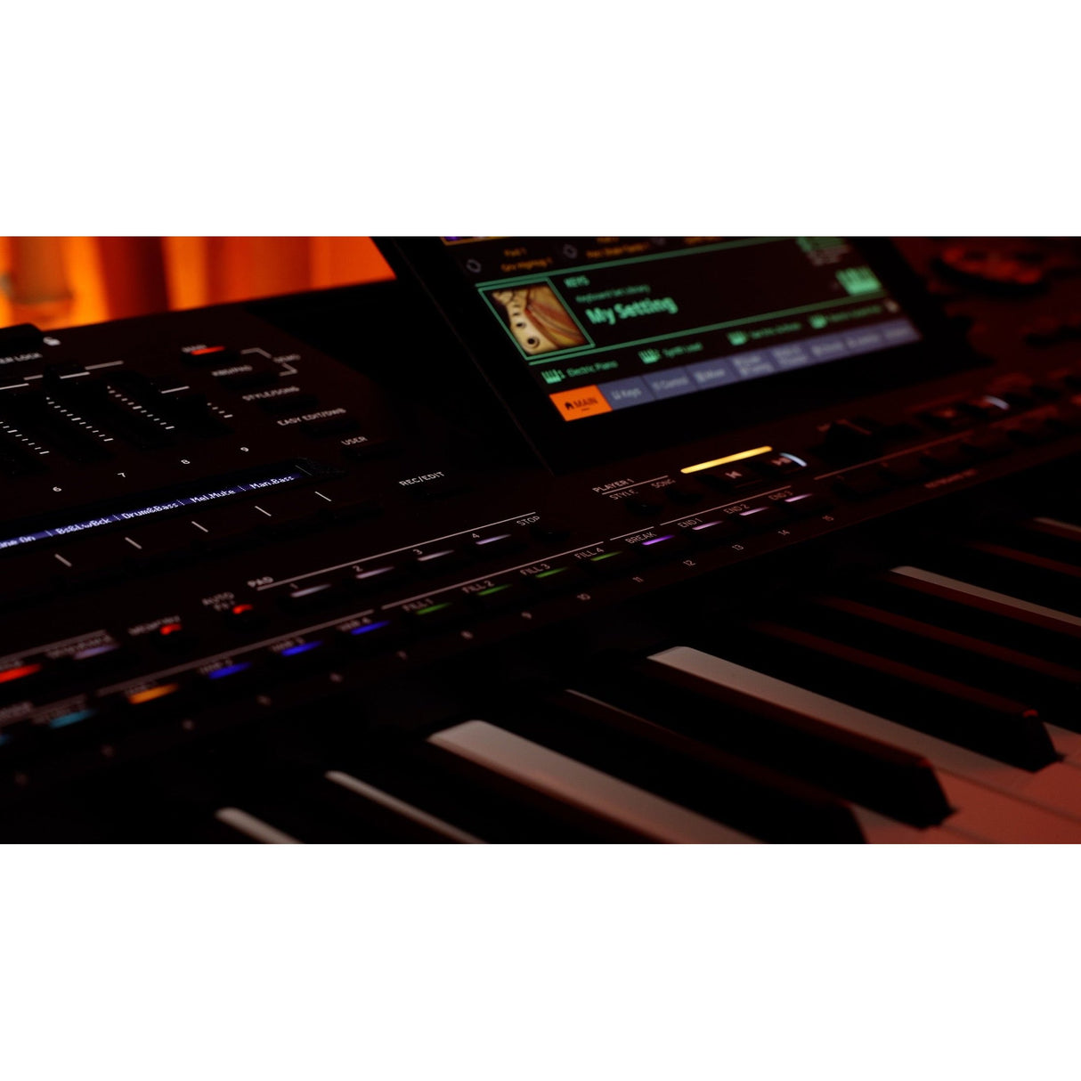 Korg Pa5X 61 ORIENTAL Arranger Keyboard met Aftertouch en Oosterse Sounds