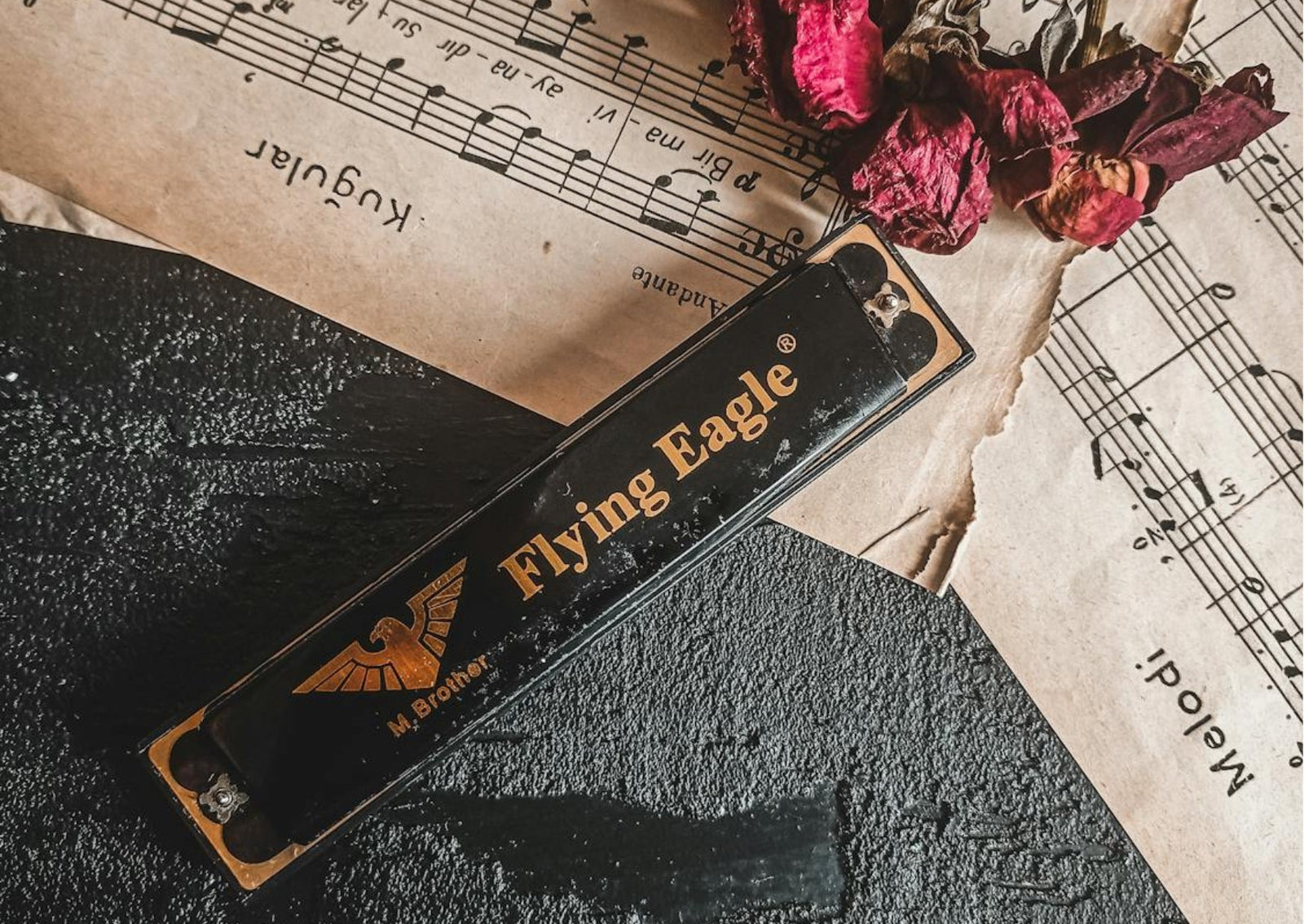 Welke mondharmonica past bij mij?