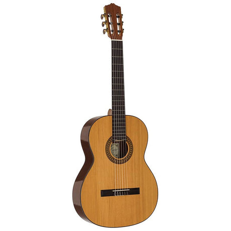 Salvador Cortez CC-22 Klassieke Gitaar – Solid Top Artist Series