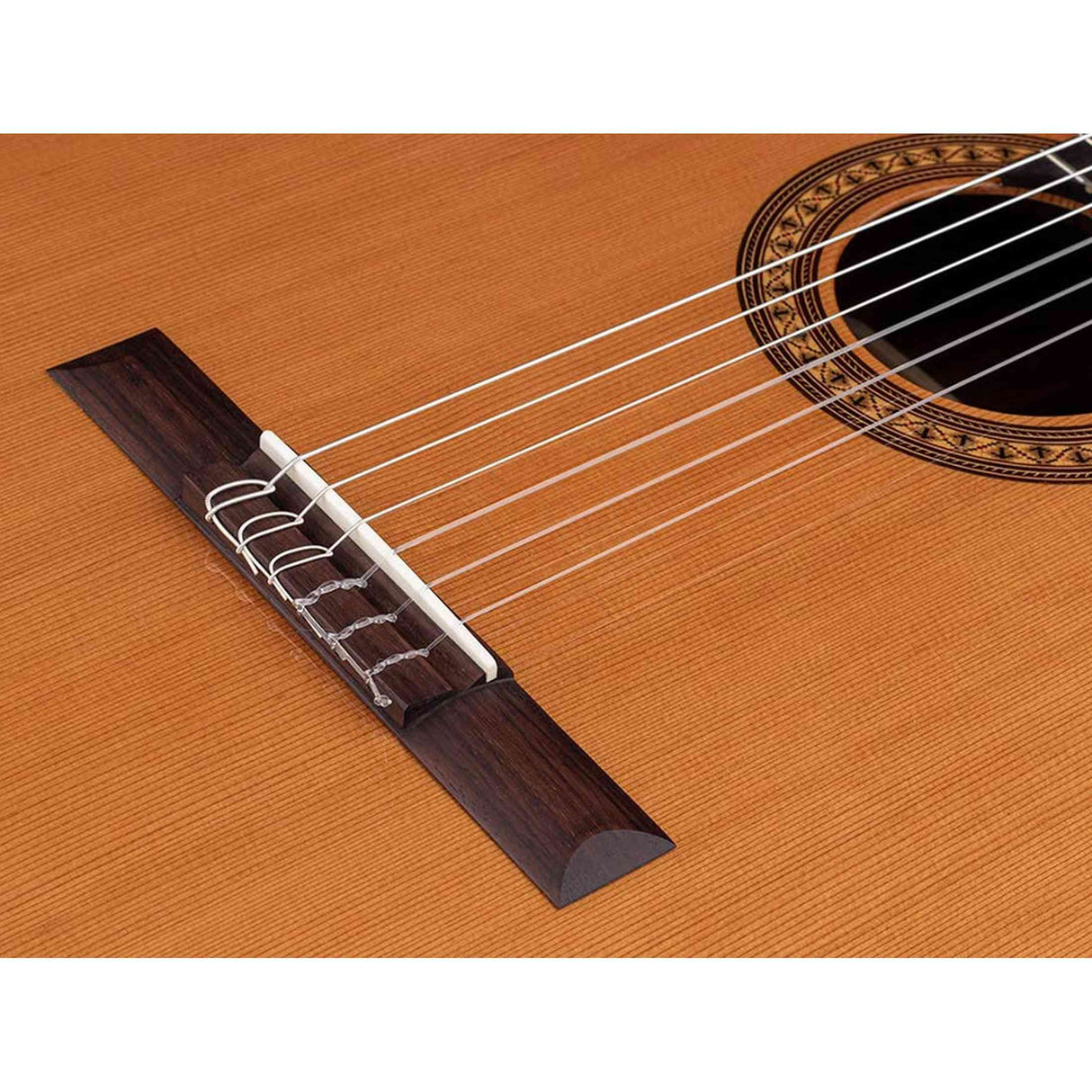 Salvador Cortez CC-32 – Klassieke gitaar met massief ceder bovenblad en palissander body