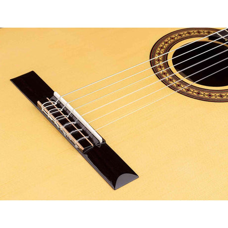 Salvador Cortez CS-50 – Klassieke gitaar met massief spruce bovenblad en palissander body
