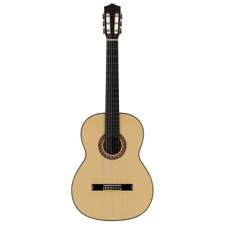 Salvador Cortez CS-130 – Klassieke gitaar met massief spruce bovenblad en palissander zij- en achterkant