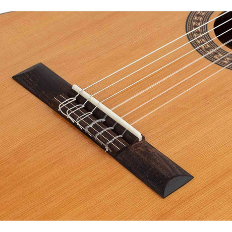 Salvador Cortez CC-22CE – Klassieke gitaar met massief ceder bovenblad, sapele body, cutaway en Fishman elektronica