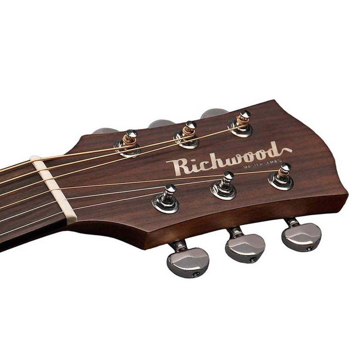 Richwood D-20-E Master Series Dreadnought Gitaar met Element – Inclusief Stemapparaat & Luxe Standaard
