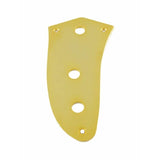 Allparts AP0659002 Gouden Controleplaat voor Jaguar®