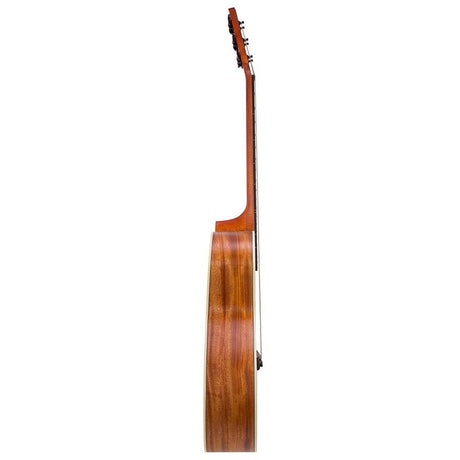 Bromo BAA2 Appalachian Series auditorium naturel akoestische western gitaar