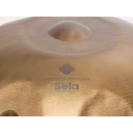 Sela SE 201 Stainless Steel Handpan D Kurd 440 Hz goud handgemaakt met gevoerde draagtas