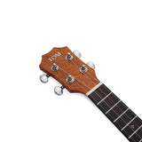 TOM T5 Konzert-Ukulele aus massivem Mahagoni mit kompensiertem Sattel und Deluxe-Koffer