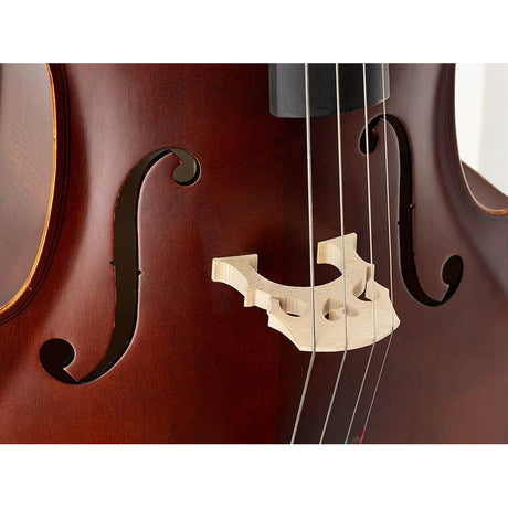 Leonardo LC-1318 cello 1/8, gelamineerd met gevlamde achterkant en zijkanten, ebbenhouten beslag, tas en strijkstok
