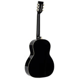 Richwood HSP-55-GS Heritage Series parlor akoestische westerngitaar zilver metallic