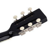 Richwood HSP-55-GS Heritage Series parlor akoestische westerngitaar zilver metallic