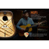 LR Baggs HiFi Pickupsysteem met Eindpin Voorversterker en Klankgatbediening Volume & Toon