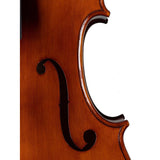 Rudolph RC-EU-30 Virtus European Stoica workshop cello 4/4