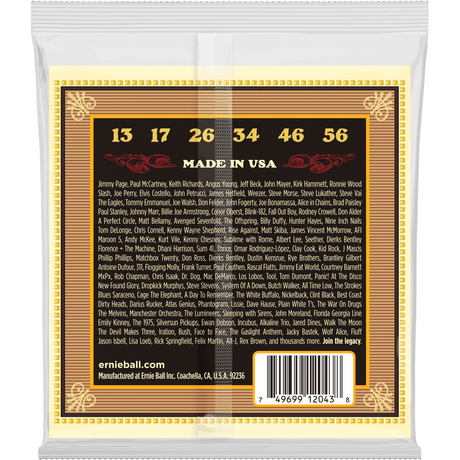 Ernie Ball 2043 Earthwood Akoestische Gitaar Snaren Regular Silk & Steel 013–056