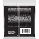 Ernie Ball 2248 Super Light elektrische gitaarsnaren 009-042