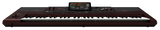 KORG PA1000 Entertainer Keyboard – 61 toetsen, 2x33W speakers, touchscreen en sampler