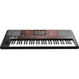 KORG PA700 Oriental Entertainer Keyboard – 61 toetsen, kwarttoon-bediening, oosterse sounds & styles