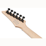 Ibanez RG421DX TWS RG elektrische gitaar Twilight Shade