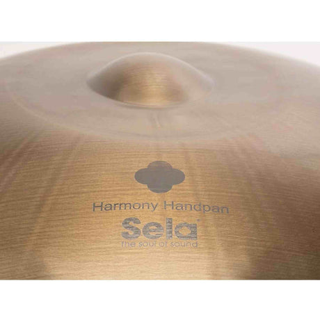 Sela SE 202 Stainless Steel Handpan D Amara 440 Hz goud handgemaakt met gevoerde draagtas