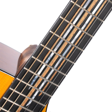 Cort Luxe II Frank Gambale Signature – Massieve Adirondack Top, Flamed Blackwood & Fishman Flex Blend