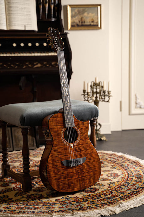 Cort Luxe Nylon Frank Gambale Signature – Massief Blackwood, Nylon Snaren & Fishman Flex Blend
