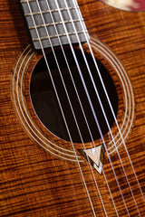 Cort Luxe Nylon Frank Gambale Signature – Massief Blackwood, Nylon Snaren & Fishman Flex Blend