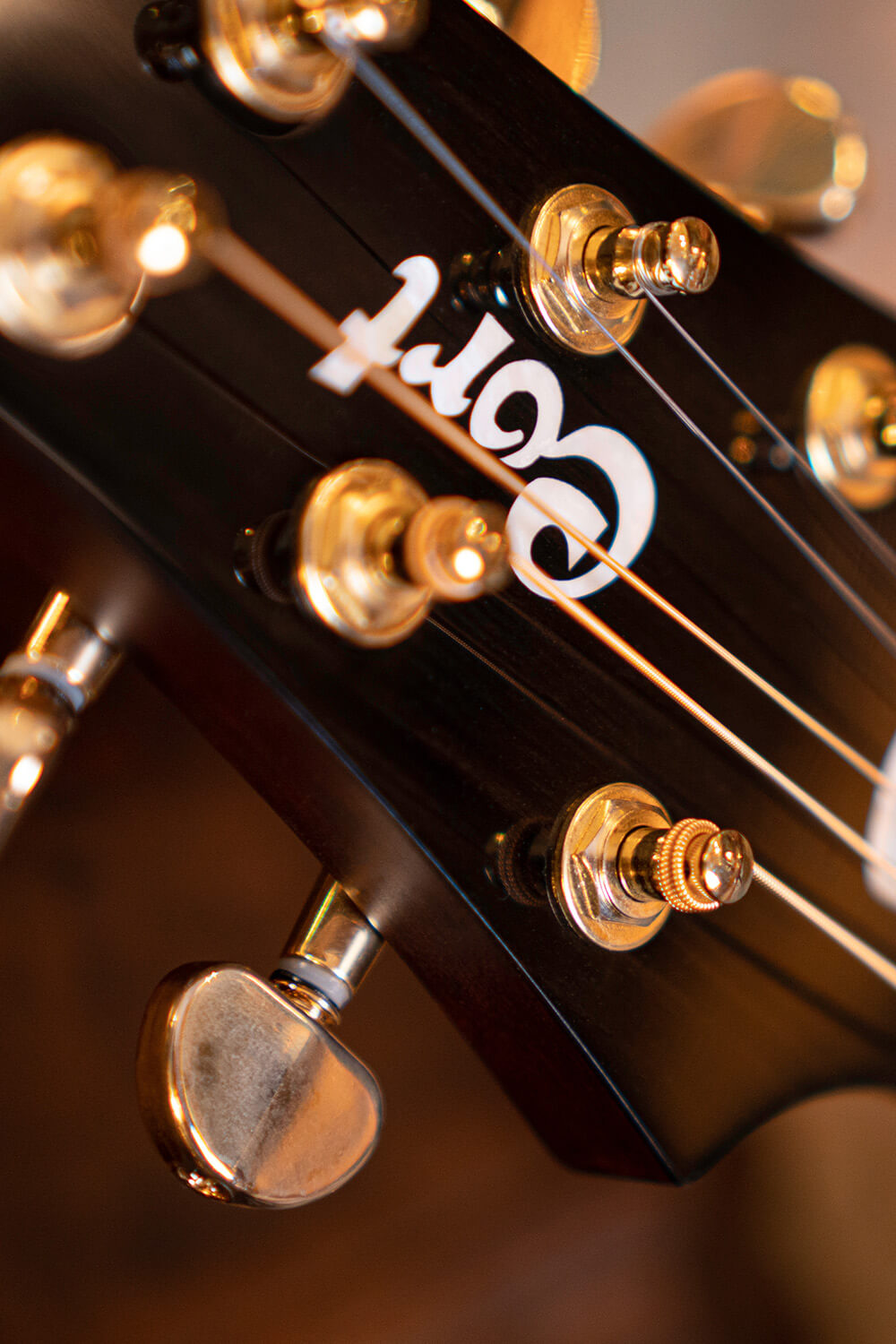 Cort Luxe II Frank Gambale Signature – Massieve Adirondack Top, Flamed Blackwood & Fishman Flex Blend