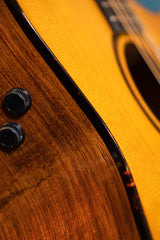 Cort Luxe II Frank Gambale Signature – Massieve Adirondack Top, Flamed Blackwood & Fishman Flex Blend