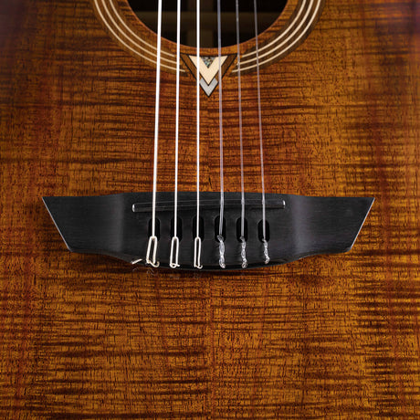 Cort Luxe Nylon Frank Gambale Signature – Massief Blackwood, Nylon Snaren & Fishman Flex Blend