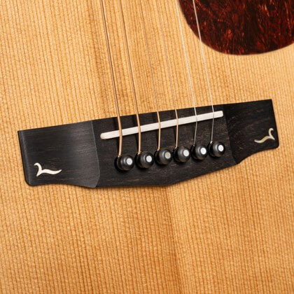 Cort Gold-A6 – Massief Sitka, Mahonie & Fishman Flex Blend