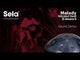 Sela SE 221 Nitrided Steel Handpan D Amara 440 Hz dunkelgrau mit gepolsterter Tragetasche
