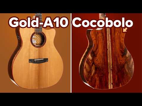Cort Gold-A10 Cocobolo – Massives AAA Cocobolo, geröstetes Adirondack &amp; Fishman Flex Blend