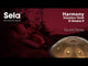 Sela SE 202 Edelstahl Handpan D Amara 440 Hz gold handgefertigt mit gepolsterter Tragetasche