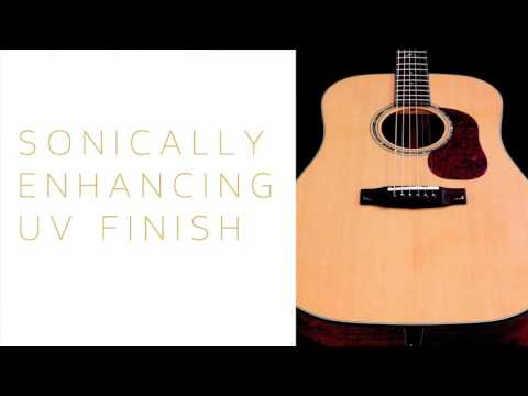 Cort Gold-A8 – Mischung aus massivem Pau Ferro, geröstetem Sitka-Kalebasse und Fishman Flex – Light Burst