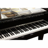 Kawai GL 10 E/P-SL